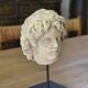 Sculpture of a head in reconstituted stone carved in the antique style of the 19th century