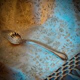Silver Spoon for Mustard / Eggs | Shell-Shaped Tip