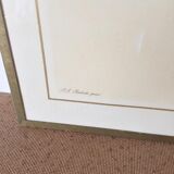 Vintage lithograph frame Redouté flowers