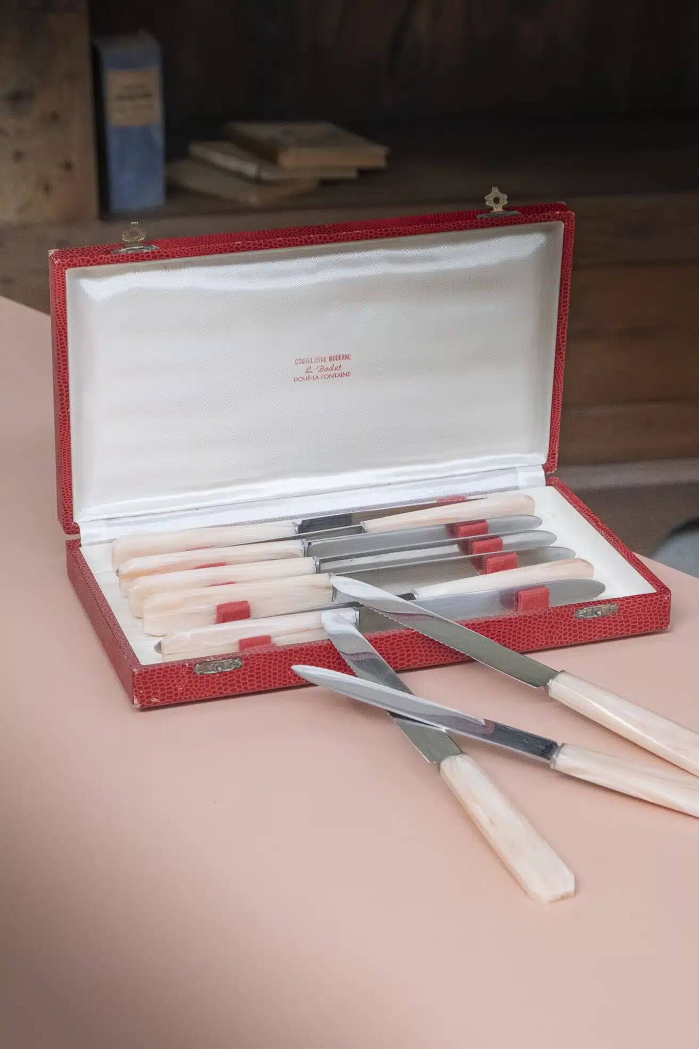 Set of 10 knives in "Églantine" box