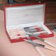 Set of 10 knives in "Églantine" box