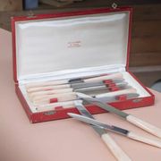 Set of 10 knives in "Églantine" box