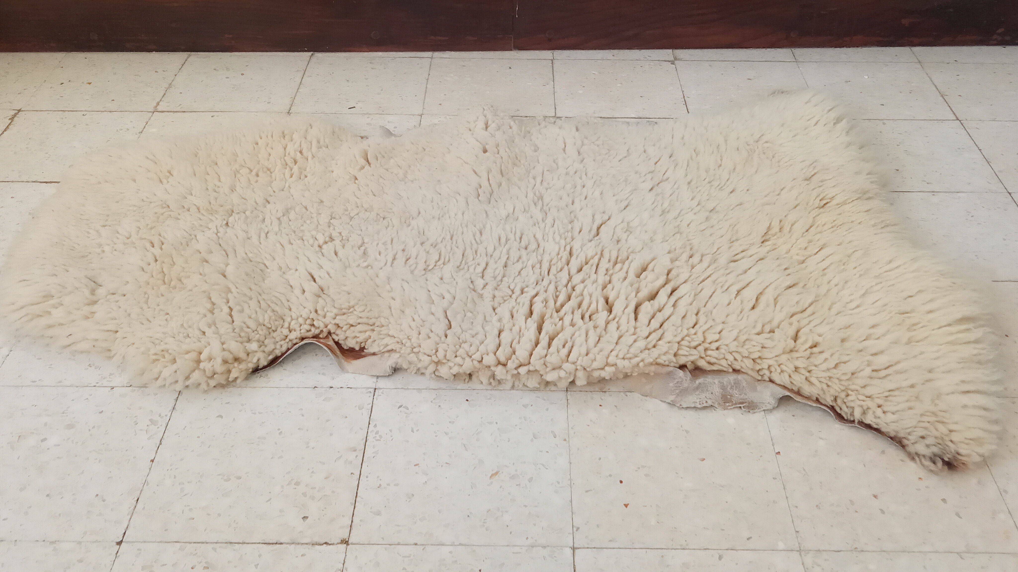 White sheepskin 109×76 cm