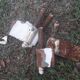 Shutters 4 leaves H148xW245cm (2) antique oak louvres pair 2