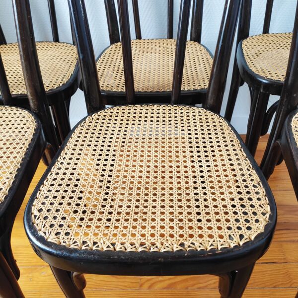 Chaises Thonet N°56 cannage neuf