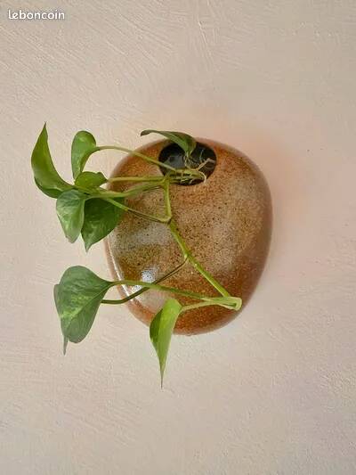 Lens stone wall vase