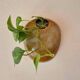 Lens stone wall vase