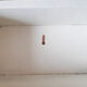 Toilet or medicine cabinet, with towel rail, with mirror