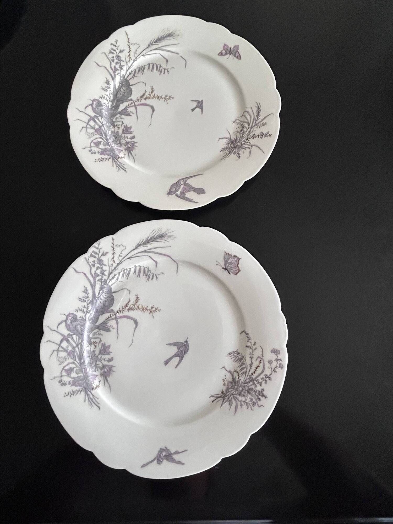 8 porcelain plates and 1 dish CH Pillivuyt & Cie