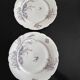 8 porcelain plates and 1 dish CH Pillivuyt & Cie
