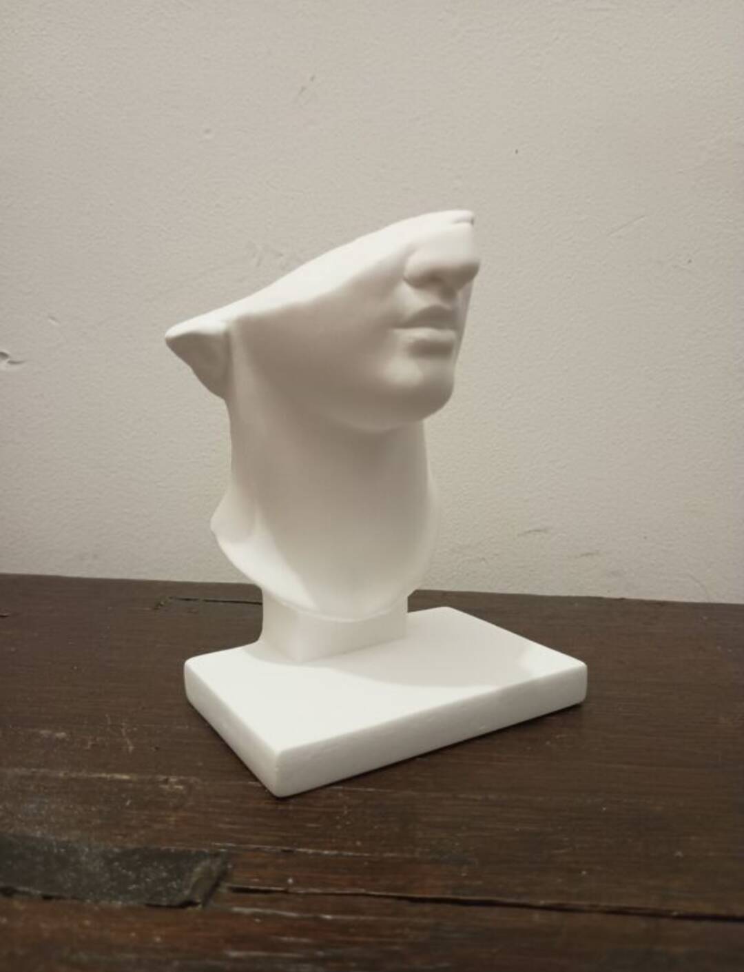 Plaster head