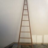 Old wooden ladder