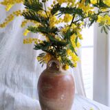 Terracotta Jar