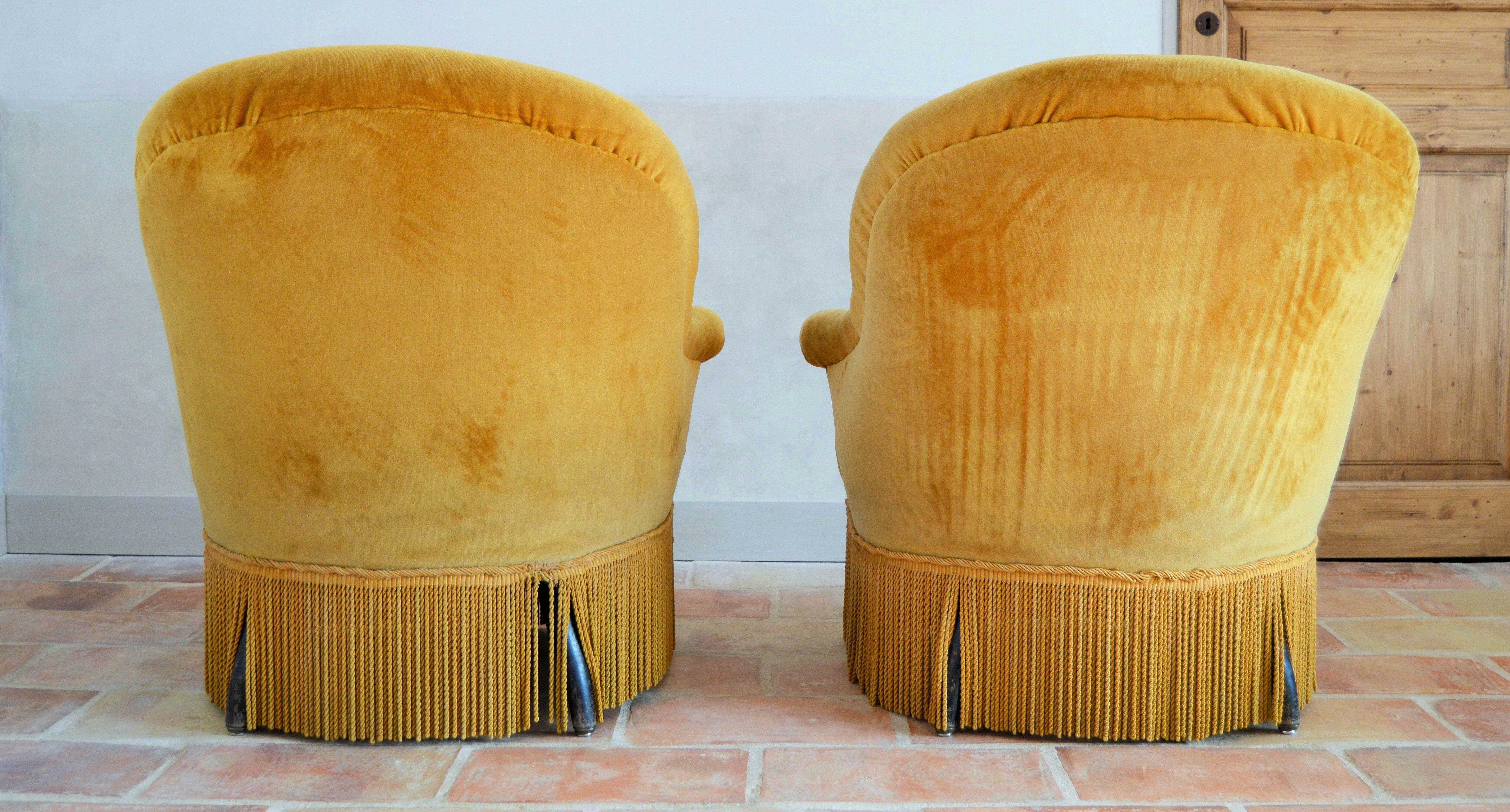 Velvet toad armchairs