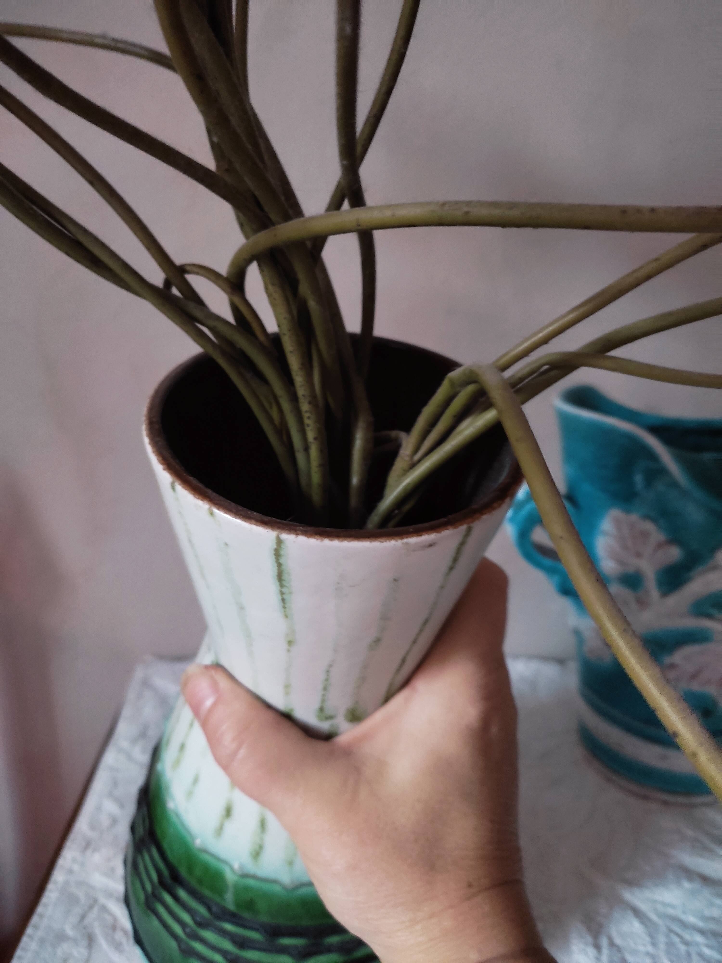 West germany ceramic vase