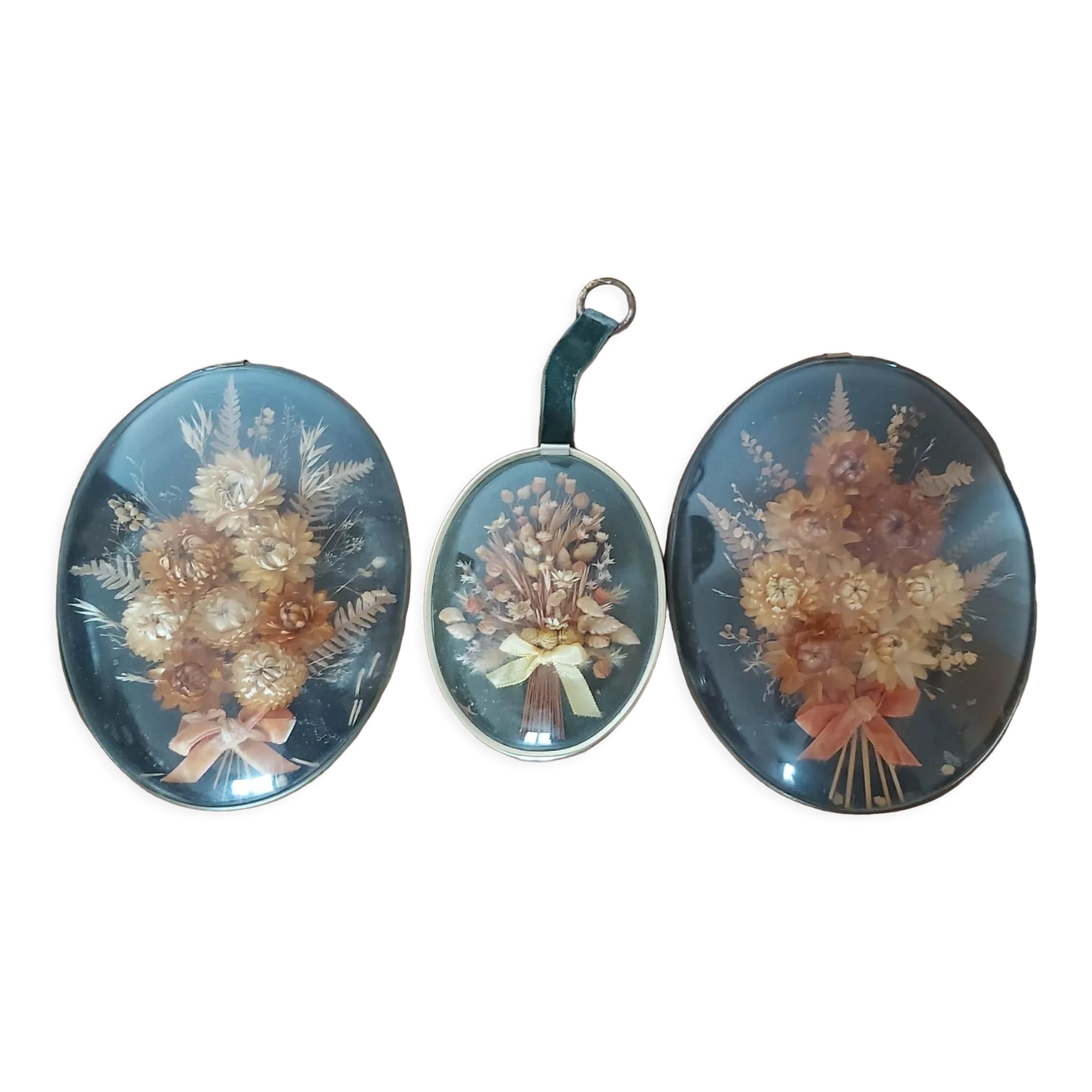 3 frames of dried flowers in curved glass