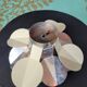 Vintage flower wall light