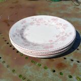 Iron earth dessert plates