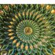 Magnificent and Huge Fruit Basket with Gold Highlights from the 50s-70s