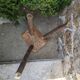 Handmade tripod stool wabi-sabi country decoration slow wood log