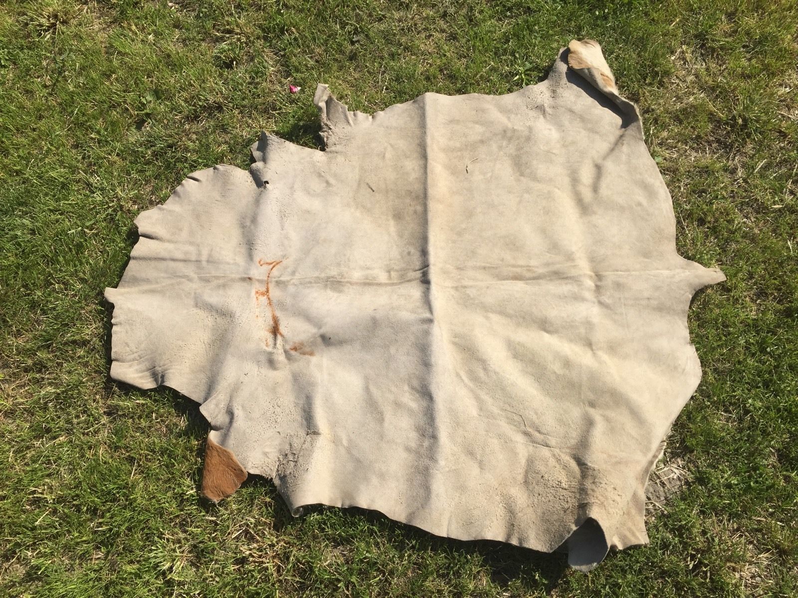 Old cowhide 135 x133 cm