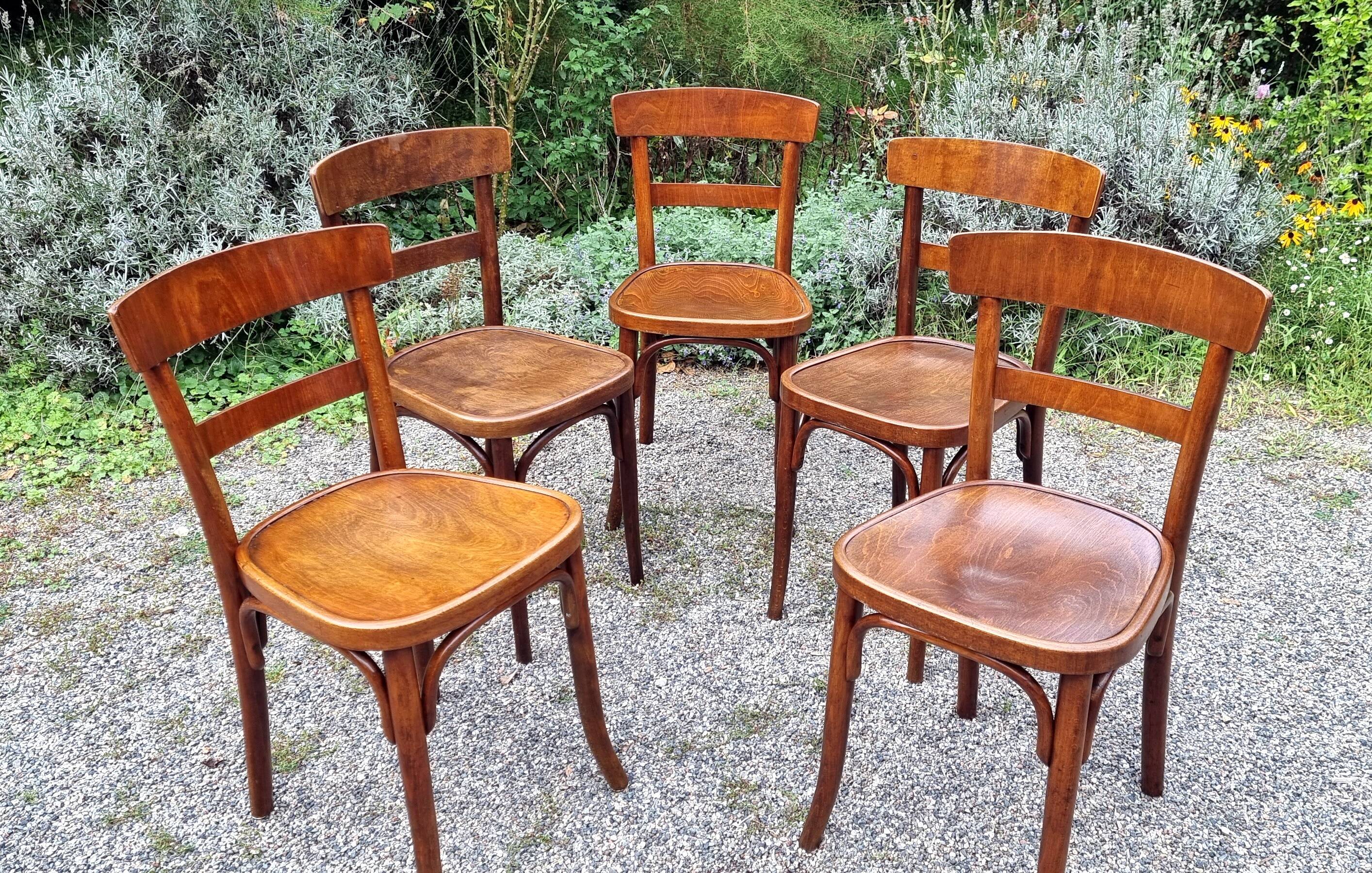5 chaises bistrot Thonet et Horgen années 40