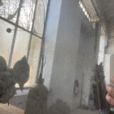 Very stung old bevelled mirror 39x60cm