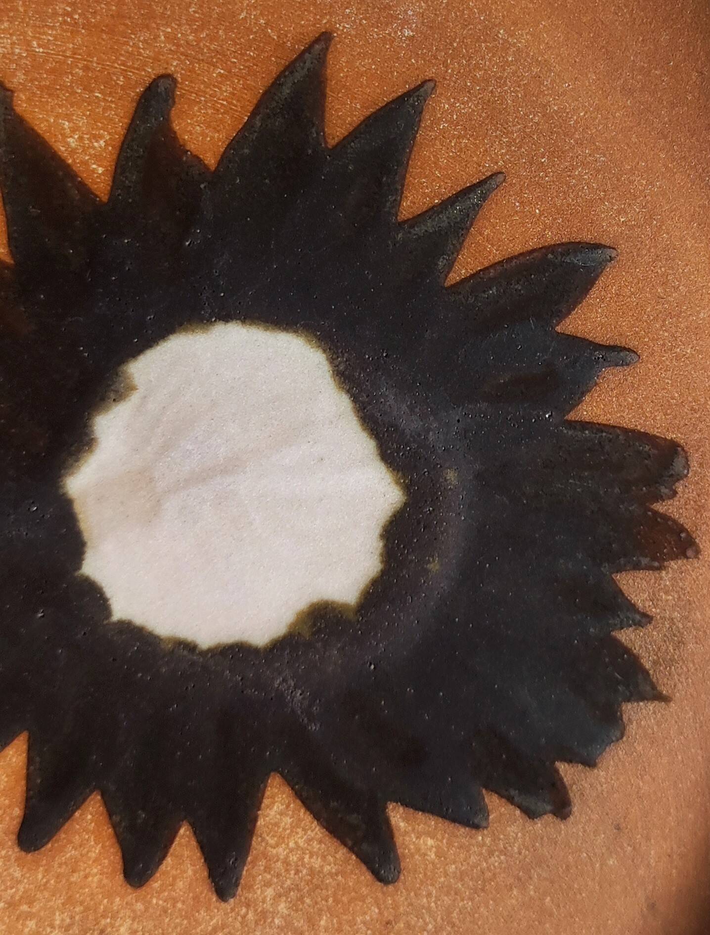 Enamelled stoneware plate, Vallauris, dove pottery