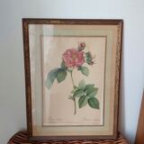 Vintage wall frame