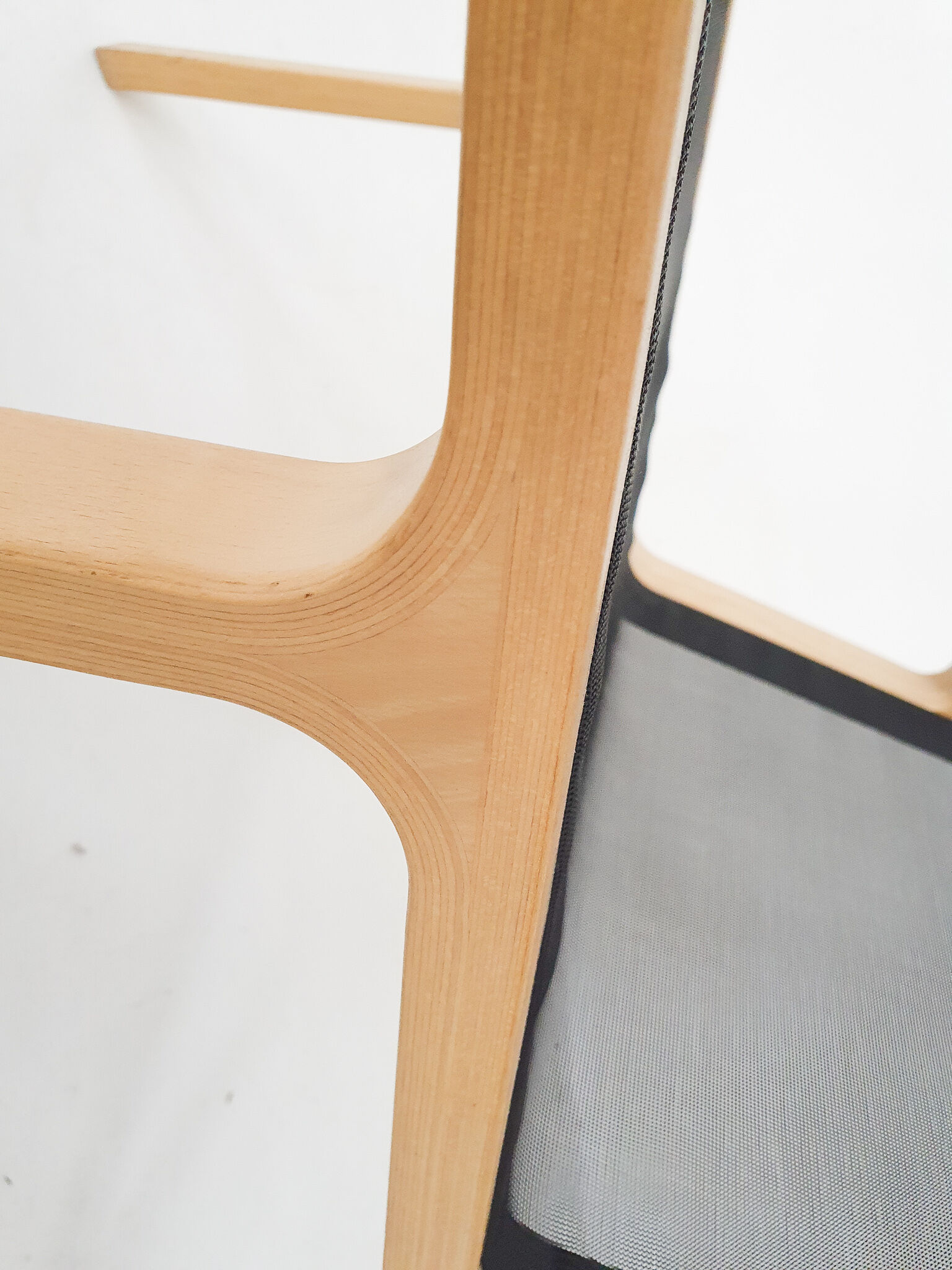 Lamintated beech and gauze design lounge chair