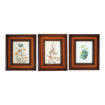 3 botanical lithographs with vintage frames