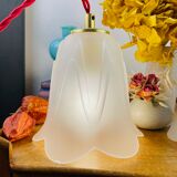 Walking lamp or suspension opaque globe shape of Art Deco flower