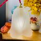 Walking lamp or suspension opaque globe shape of Art Deco flower
