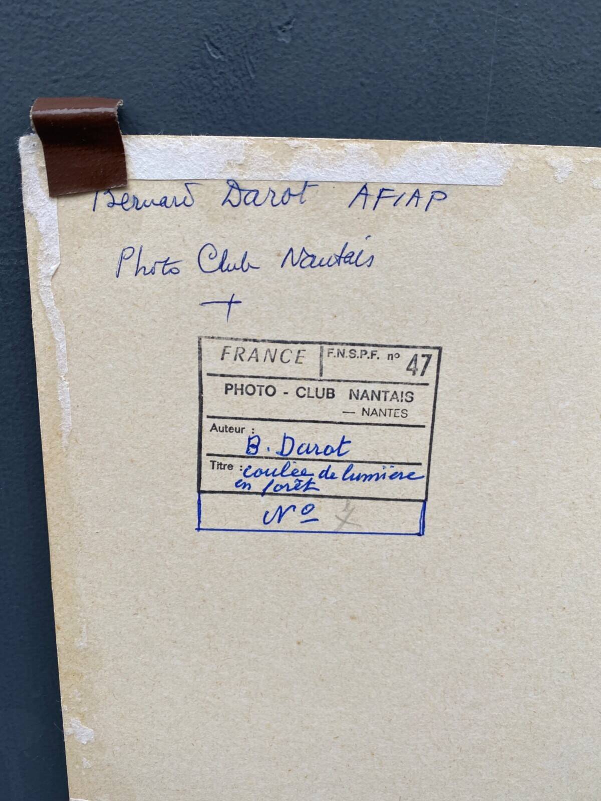 Film photograph by bernard darot, afiap club nantais, flow of light in the forest