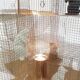 "Seven Rats" lamp by Ingo Maurer 2007