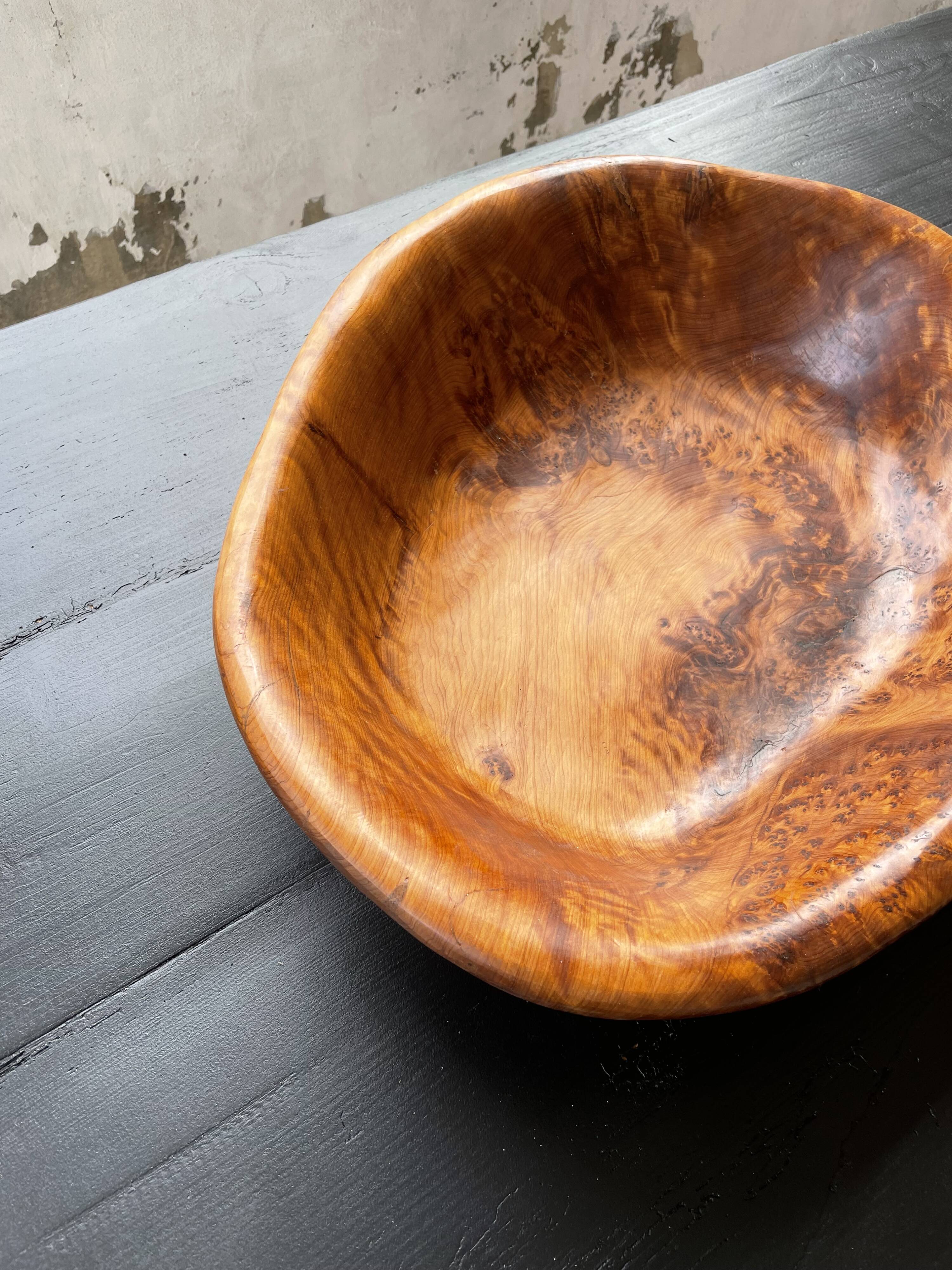 XL thuja root wooden dish