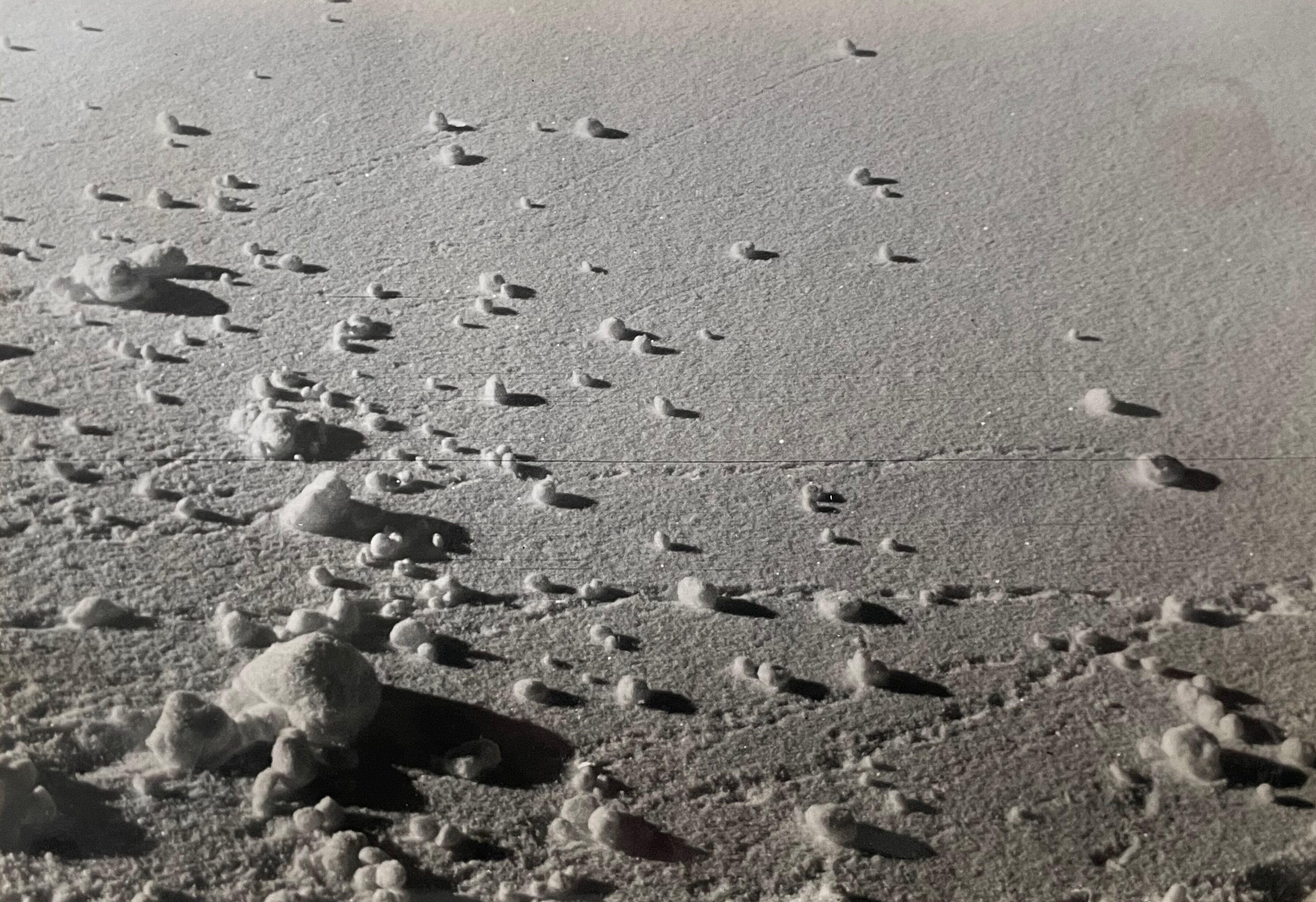 2 photographs black and white silver early twentieth century