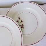 4 flat plates from Salins