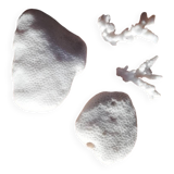 Set of corals