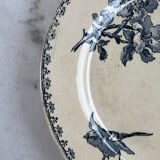 Iron earth plate Sarreguemines favourite