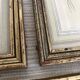 3 framed illustrations of birds of paradise