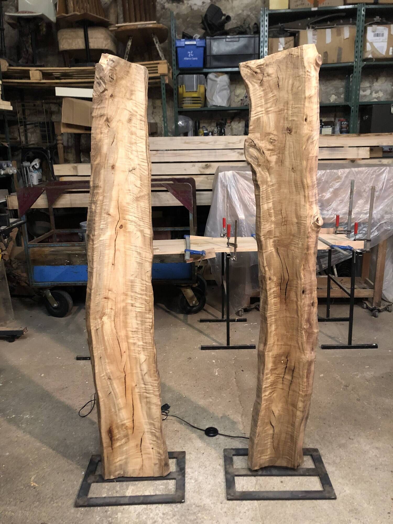 Eucalyptus and metal floor lamp