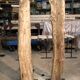 Eucalyptus and metal floor lamp