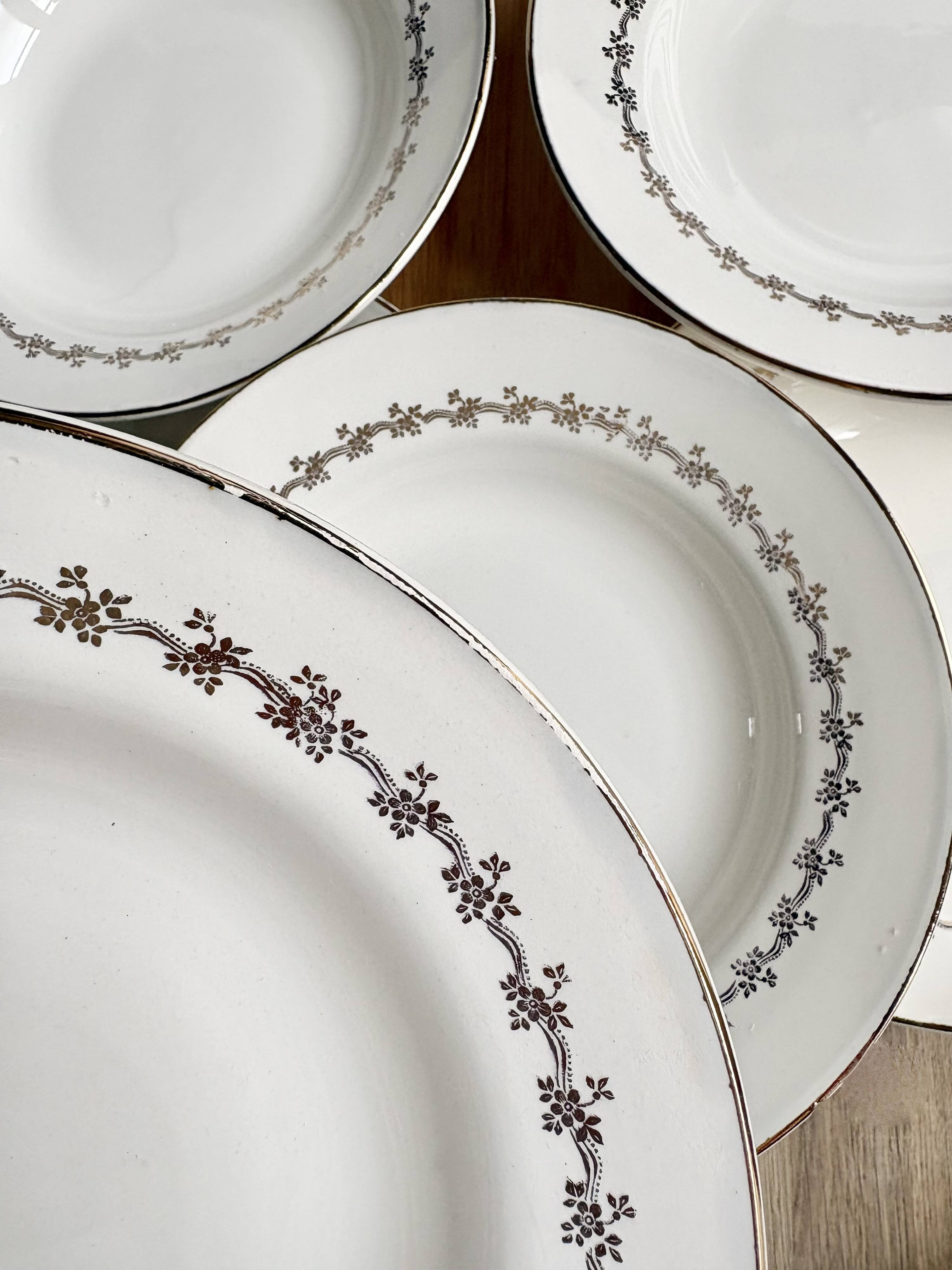 8 Digoin Sarreguemines plates