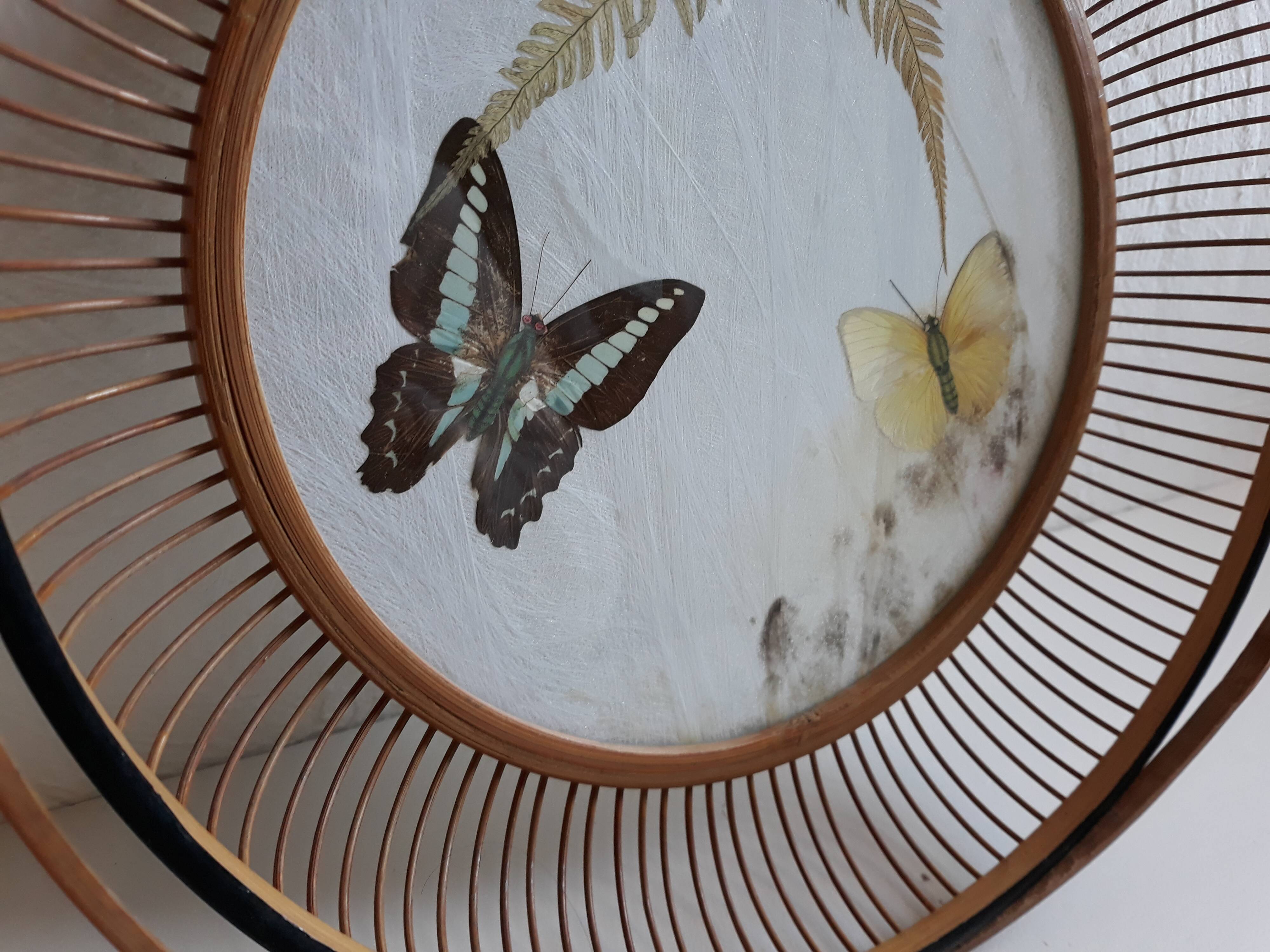 Butterfly serving plate