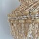 Lustre shell cauris