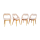 4 chairs louis paolozzi 50 years