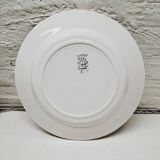 Set of 5 blue flower dinner plates