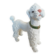 Mid-century poodle