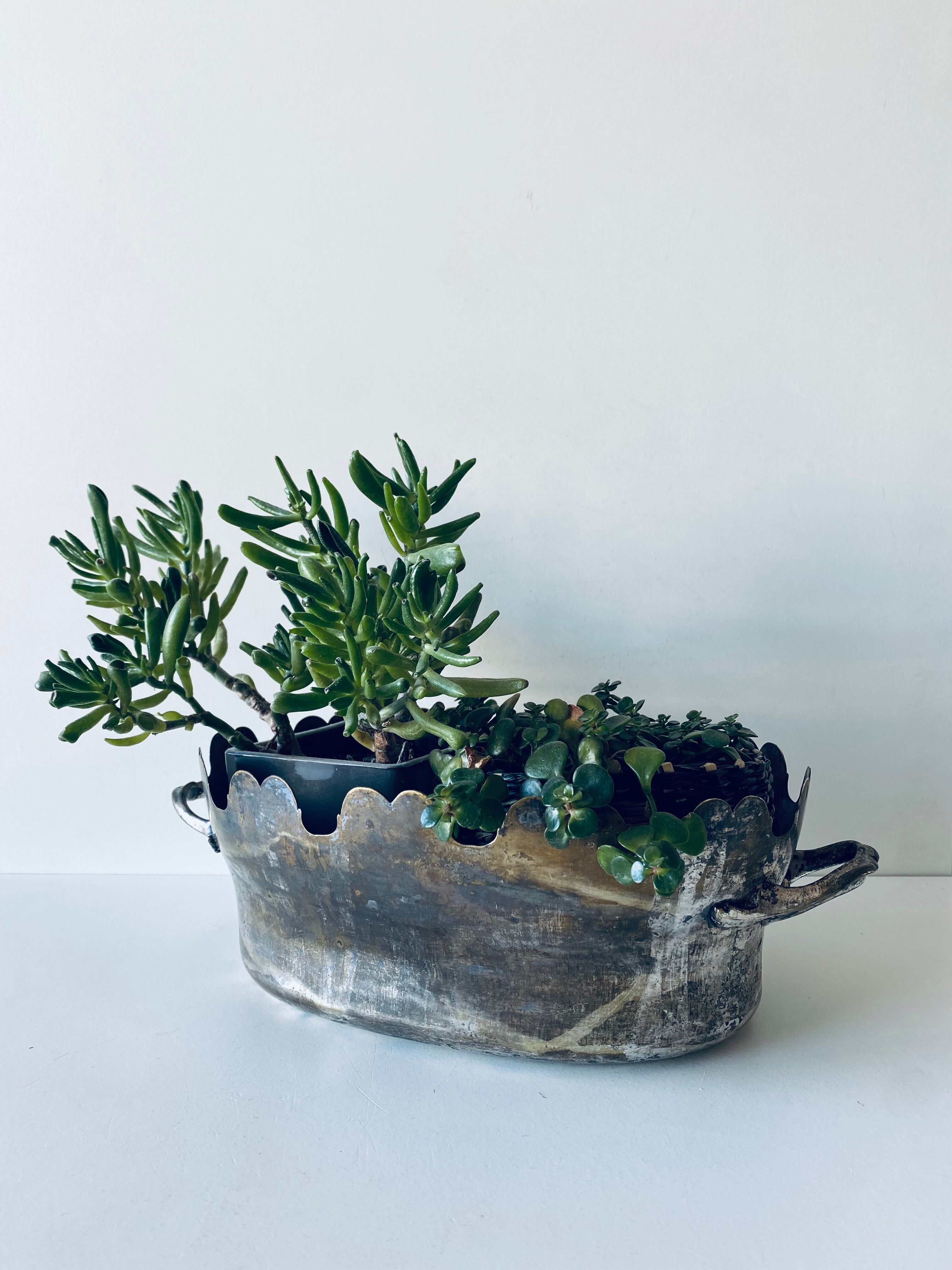 Silver metal flower pot or cover